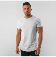 T-Shirt à Col Rond pour Homme, Haute Qualité, 100% Coton, Logo Imprimé Personnalisé