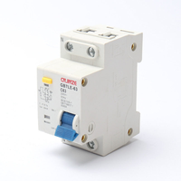 Disjoncteur différentiel RCBO DZ40LE-63 2P 6A-63A 230V 4.5kA avec protection contre les surintensités et les fuites, poignée rouge