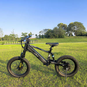 เบรกไฮดรอลิกสำหรับเด็ก750W 36V จักรยานไฟฟ้าปลอดภัยสำหรับขี่ LBK01ดิสก์เบรกอลูมิเนียมอัลลอย - Product Image 1