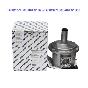 Regolatore di Gas a Azionamento Diretto FG1B15 FG1B20 FG1B25 FG1B32 per Caldaie e Bruciatori, Valvola di Riduzione e Stabilizzazione della Pressione - Product Image 3