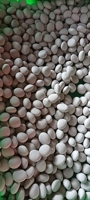 Diffuseur d'huiles essentielles en céramique artisanale en forme de galet - Blanc pur non émaillé - Chaque pièce est unique, sans deux identiques - OEM