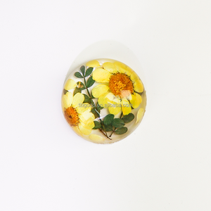 Hecho a mano espécimen planta incrustada recuerdo artesanías resina acrílica Hojas de arce pisapapeles regalo - Product Image 6