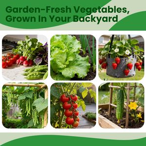 Kit de jardinage écologique avec plus de 17 000 graines de plantes anciennes non-OGM pour la plantation, utilisation intérieure/extérieure, cadeau pour ami - Product Image 4