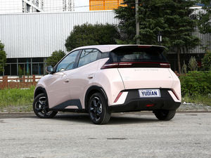 Chine Byd Seagull Byd Dolphin Mini Véhicule Ev Byd Seagull Flying 2024 Pour Taxi Nouvelle Énergie Voitures Électriques Véhicules - Product Image 5