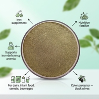 Additifs alimentaires FUQIANG USP 99% Gluconate ferreux Poudre très fine Améliorateurs nutritionnels FSSC22000 ISO22000