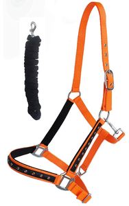 HE5600 Modèle de licol pour cheval en nylon et cuir personnalisé, avec fermoir en laiton doré SS clouté, style Western et anglais, durable et de qualité supérieure - Product Image 4