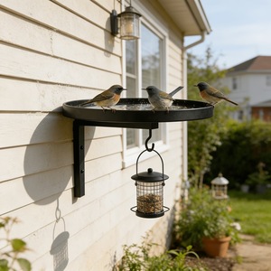 Support mural en fer forgé style européen et américain pour <span class=keywords><strong>mangeoire</strong></span> à <span class=keywords><strong>oiseaux</strong></span>, décoration extérieure pour jardin et cour, facile à installer - Vente chaude - Product Image 4