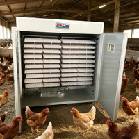 Incubateur d'œufs automatique à batterie pour 2000 œufs, très demandé