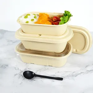 Eco Friendly Bento Box Polpa di Canna Da Zucchero Contenitore di Conservazione Degli Alimenti di Un Uso del Tempo di Carta Usa E Getta Scatola di Pranzo Per Il Fast Food