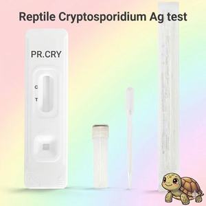 Tiras reactivas de diagnóstico veterinario para reptiles, prueba de antígeno de Mycoplasma para mascotas exóticas, tortugas, <span class=keywords><strong>precio</strong></span> al por mayor - Product Image 2