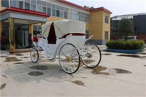 OEM lujo caballo dibujado silla de montar carro real boda victoriana Touring turismo carro para la venta EE.UU. - Product Image 4