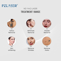 PZLASER Laser Pico Portable Efficace 532nm 1064nm 1320nm Machine Laser Picoseconde Q-Switch Nd Yag pour l'Élimination des Tatouages