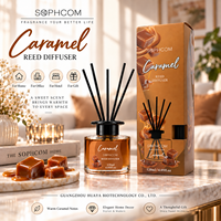 Diffuseur de parfum d'ambiance pour salle de bain en bouteille de verre avec bâtonnets en fibre, décoration d'intérieur, fournisseur en gros, emballage personnalisé