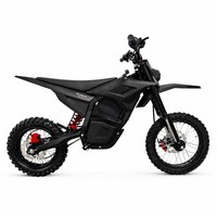 Motocicleta Eléctrica Todoterreno de 2600W de Alta Potencia, 48V 20Ah con Batería Extraíble, para Jóvenes, Ideal para Paseos por Senderos