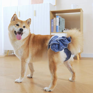 Novas Roupas para Cães Fêmeas em Poliéster Sólido Ecológico com Estampa de Desenho Animado, Tamanhos <span class=keywords><strong>XS</strong></span> a XL, Calças de Segurança Anti-Assédio, Lavagem à Mão - Product Image 4