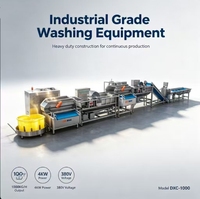 DXC-1000 Wervelstroom groentewasmachine 4KW Industriële fruit-, bladgroente- en wortelgroentewasser voor voedselverwerkingsfabriek