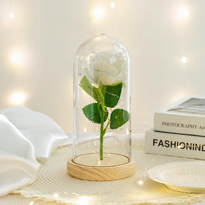 زهرة أبدية بالجملة تحت قبة زجاجية مع إضاءة LED، وردة اصطناعية في قبة زجاجية، هدية مثالية لعيد الحب، من المصنع للتجارة عبر الحدود - Product Image 3
