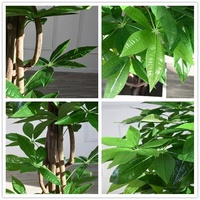 Fausse plante Plantes Artificielles Unique En Plastique faux banyan Arbre avec Pot arbres artificiels Décoration Intérieure