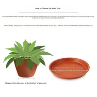 Soucoupes de drainage pour plantes de 10,5 à 25 pouces, vert foncé, en plastique PP chromé, 0,2 L, pour sol, maison, intérieur, extérieur, jardin, pot de fleurs