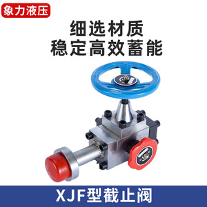 Vanne de sécurité pour accumulateur hydraulique 31,5 Mpa, commande manuelle, acier au carbone, pour gaz à température normale - Product Image 5