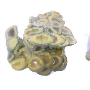 Avocat surgelé IQF entier/en tranches/en dés/en morceaux/en moitiés, emballage sous vide, durée de conservation de 24 mois, 1 kg, export Vietnam, marque KMI - Product Image 1