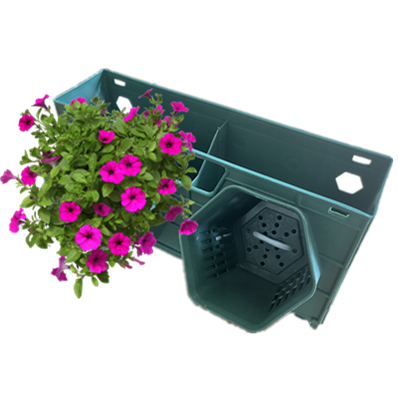 สีเขียวเข้ม