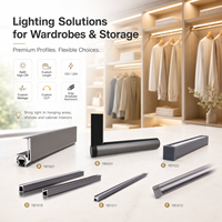 Profilé LED pour éclairage de placard, armoire, étagère, éclairage linéaire en aluminium basse tension, longueur personnalisée YBYGTZ-22