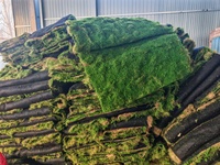 Tapis de mousse verte stabilisée pour jardin miniature, fleurs espagnoles et boules de fleurs, véritable tapis de mousse verte stabilisée