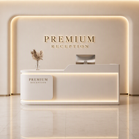 Bureau de réception de luxe professionnel personnalisé moderne avec éclairage LED blanc brillant pour salon de beauté, spa, centre de soins de la peau, clinique, hall d'entrée, bureau