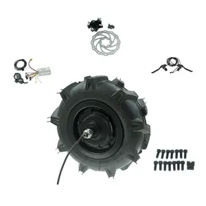 100N.M yüksek tork Hub Motor 24V/36V/48V 350W-750W motorlu el arabası Hub Motor kiti