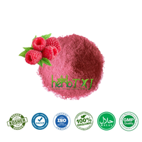 Poudre de framboise lyophilisée, extrait de framboise, poudre de fruits de framboise FD, fournie par le fabricant
