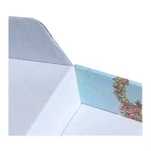 Envío respetuoso con el medio ambiente biodegradable personalizado para zapatos, ropa, caja de correo de embalaje interior de terciopelo - Product Image 4