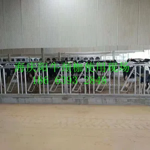 Cow Headlock and Free Stall for dairy cow farm equipment high good quality cow Headlock for sale