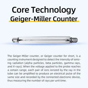 Compteur Geiger QXXZ Détecteur de rayonnement nucléaire Dosimètre personnel Testeur de radioactivité à rayons X Détecteur de marbre