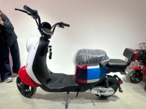 Vélo électrique 48V, vélo de ville électrique, VTT avec batterie 15ah <span class=keywords><strong>KITE</strong></span> - Product Image 3