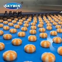 SKYWIN2026 Nouvelle Ligne de Production Entièrement Automatique de Biscuits Moelleux Haute Efficacité Garantie 1 An Alimentation 220/380V Guangdong Boulangerie Snacks