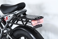 Disiyuan 20 Pouces Super S9 Vélo Cargo Électrique VTT 48V Pneus Larges Vélo Électrique V20 Vélo de Montagne Électrique 1000W 500W