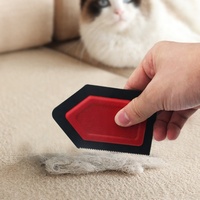 Mini Brosse Anti-Poils pour Animaux de Compagnie Facile à Nettoyer pour Canapé Voiture Chat Détaillage Raclette Brosse Anti-Poils pour Animaux de Compagnie