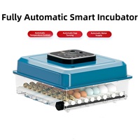 Incubateur d'œufs de caille mini format en promotion, taux d'éclosion élevé, retournement automatique, économie d'énergie, double tension, contrôle double de la température et de l'humidité