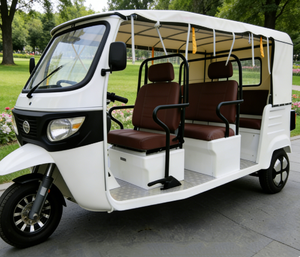 TUKTUK Cinese per Adulti, Aperto o Coperto, Triciclo Taxi per 6 Passeggeri, Bus per Gite Turistiche - Product Image 4