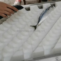 Machine de découpe de poisson congelé Offre Spéciale à haute efficacité équipement de traitement de maquereau engrenage motorisé avec convoyeur à plaques en Nylon