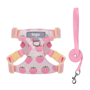 Breathable Mesh Small Dog <b>Harness</b> And Leash Set Cute Cartoon Pattern Adjustable <b>No</b>‑Pull Vest For Puppy Daily Outdoor Walking - Product Image 4