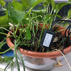 2023 Barato RS485 Modbus IoT 3 em 1 FDR Medir Temperatura Umidade Condutiva Solo <span class=keywords><strong>Sensor</strong></span> EC para Agricultura - Product Image 6