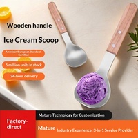 Spatule en acier inoxydable personnalisable avec logo, cuillère à glace, cuillères doseuses, ustensile à café pour cuiseur à riz domestique