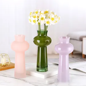 Vintage Instagram Style Ornaments Living Room Tall Glass Vase Hydroponic Flower Vase Hydroponic Glass Vase