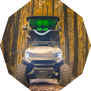 Precio barato al por mayor de fábrica 4500W 2 + 2 asientos 4X4 carrito de golf eléctrico de caza - Product Image 6