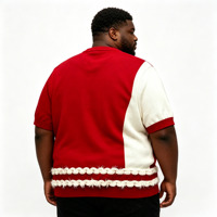 Prix d'usine, pull en tricot vintage personnalisé pour sororité, pull à manches courtes pour homme, broderie rouge et blanche, col rond
