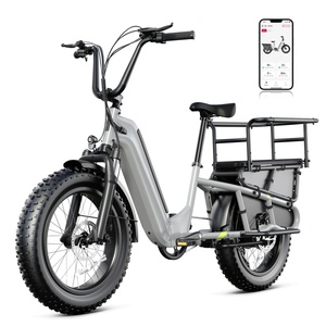 Vélo utilitaire électrique EN15194 250W 48V 15Ah avec porte-bagages arrière, stock entrepôt UE, DDP Europe, grossiste en vélos électriques - Product Image 1