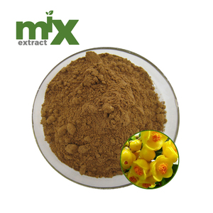 Extrait naturel de Camellia Nitidissima 4:1 10:1 20:1 30:1 50:1 100:1 Poudre fine soluble dans l'eau Complément alimentaire Qualité alimentaire OEM - Product Image 1