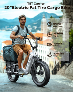 Famille 48v 750w frein à disque vélo électrique  enfants avant près de la boîte famille longue queue électrique <span class=keywords><strong>Cargo</strong></span> Ebike - Product Image 2